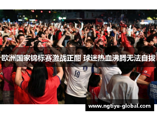 欧洲国家锦标赛激战正酣 球迷热血沸腾无法自拔