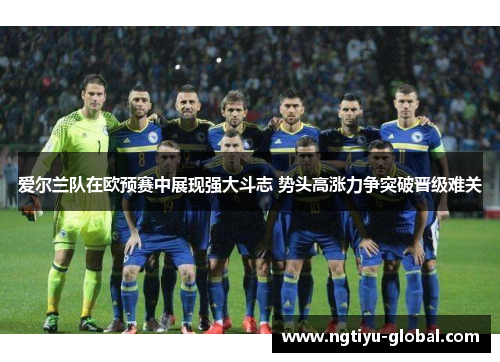 爱尔兰队在欧预赛中展现强大斗志 势头高涨力争突破晋级难关